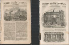 Antique set; Featuring 2 editions of The Dublin Penny Journal published 1882 (29)