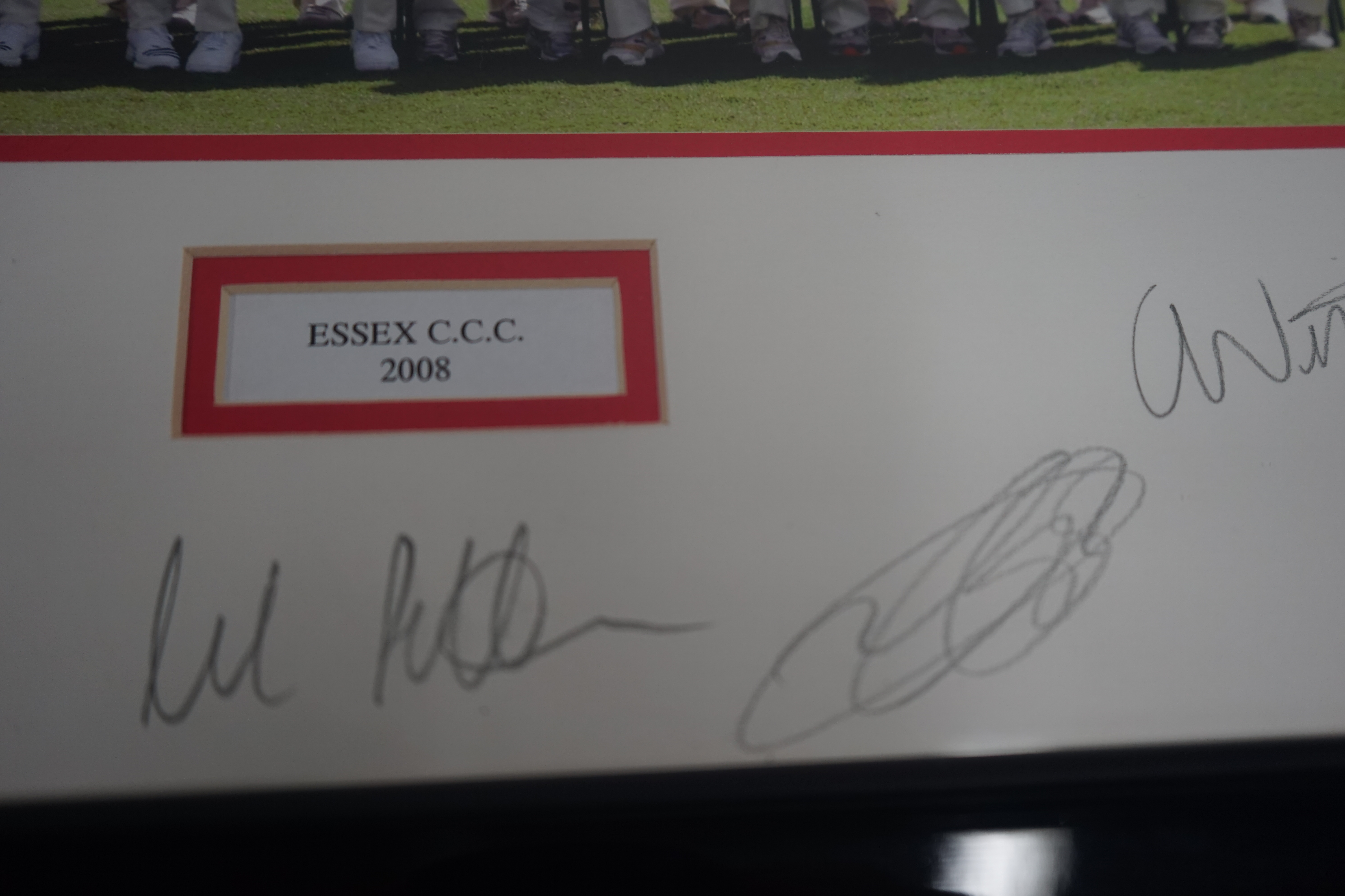 Essex CC 2008 team photo signed - Image 3 of 3