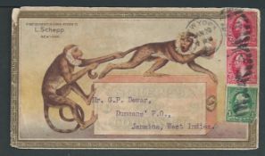 United States 1900 Coloured illustrated envelope (small faults) for Schepp's Cocoanut featuring two