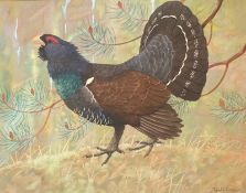 Original signed watercolour by Ralston Gudgeon, RSW (1910 – 1984) Capercaillie