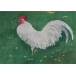 Cockerel watercolour by Scottish artist Ralston Gudgeon 1910-1984 exhib R.S.A – R.S.W