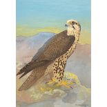 Ralston Gudgeon, RSW (1910 – 1984) Scottish artist, original signed watercolour "Kestrel"