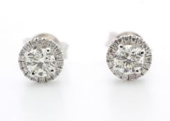 18ct White Gold Halo Set Earrings 0.65 Carats
