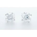 14 kt. White gold - Earrings - 2.00 ct Diamond - Diamonds