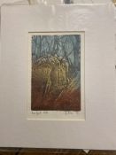 Three Tree Spirits By Jean Bowker Limited Edition Prints