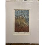 Three Tree Spirits By Jean Bowker Limited Edition Prints