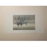 Martin Caulkin Signed Limited Edition Print, Misty Morning 1984.