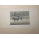 Martin Caulkin Signed Limited Edition Print, Misty Morning 1984.