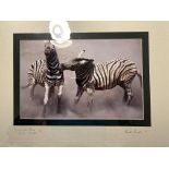 Burchell's Zebra Fighting, Etosha, Namibia, Limited Edition By Dr Hentie Burger