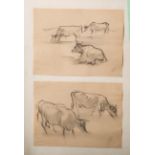 Gottschow, Albert E. (1891-1977), zwei Zeichnungen mit Kühen, wohl