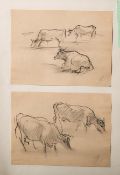 Gottschow, Albert E. (1891-1977), zwei Zeichnungen mit Kühen, wohl