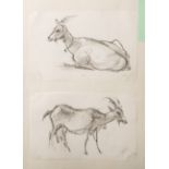 Gottschow, Albert E. (1891-1977), zwei Zeichnungen mit Ziegenböcken, wohl