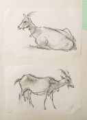 Gottschow, Albert E. (1891-1977), zwei Zeichnungen mit Ziegenböcken, wohl