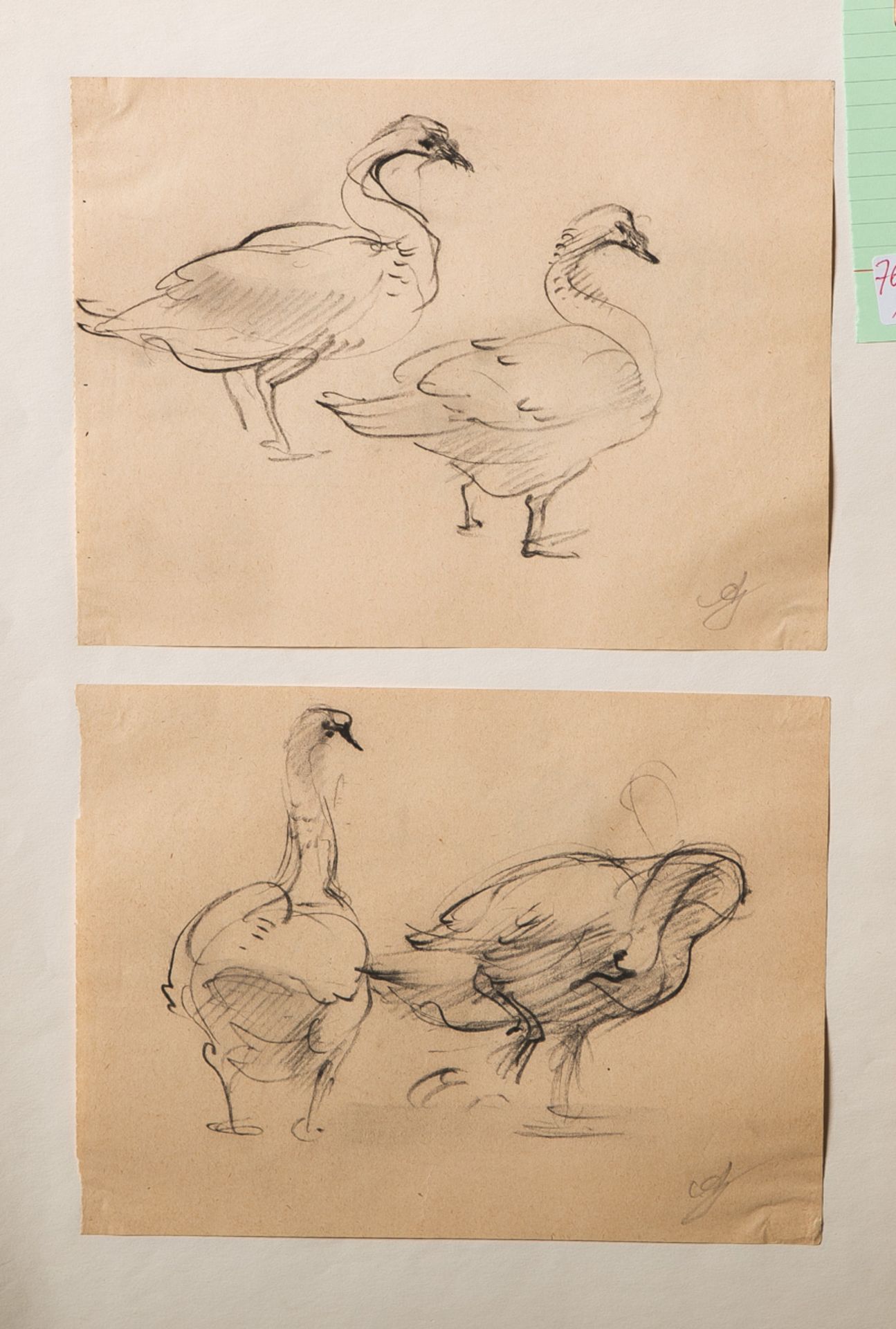 Gottschow, Albert E. (1891-1977), zwei Zeichnungen mit Enten, wohl