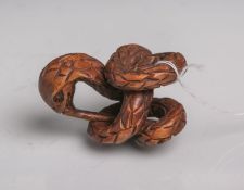 Tropenholz-Netsuke (Provenienz Japan, Alter unbekannt). Darstellung einer sich windendenSchlange mit