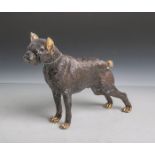 Unbekannter Künstler (neuzeitlich), stehender Hund (Boxer), wohl Bronze, dunkelbraunpatiniert m.