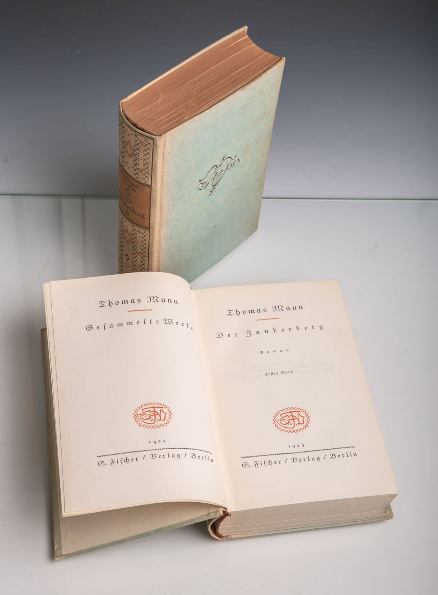 Mann, Thomas (Hrsg.), "Der Zauberberg", Roman in 2 Bänden, Fischer Verlag, Berlin 1924,578/629 S.