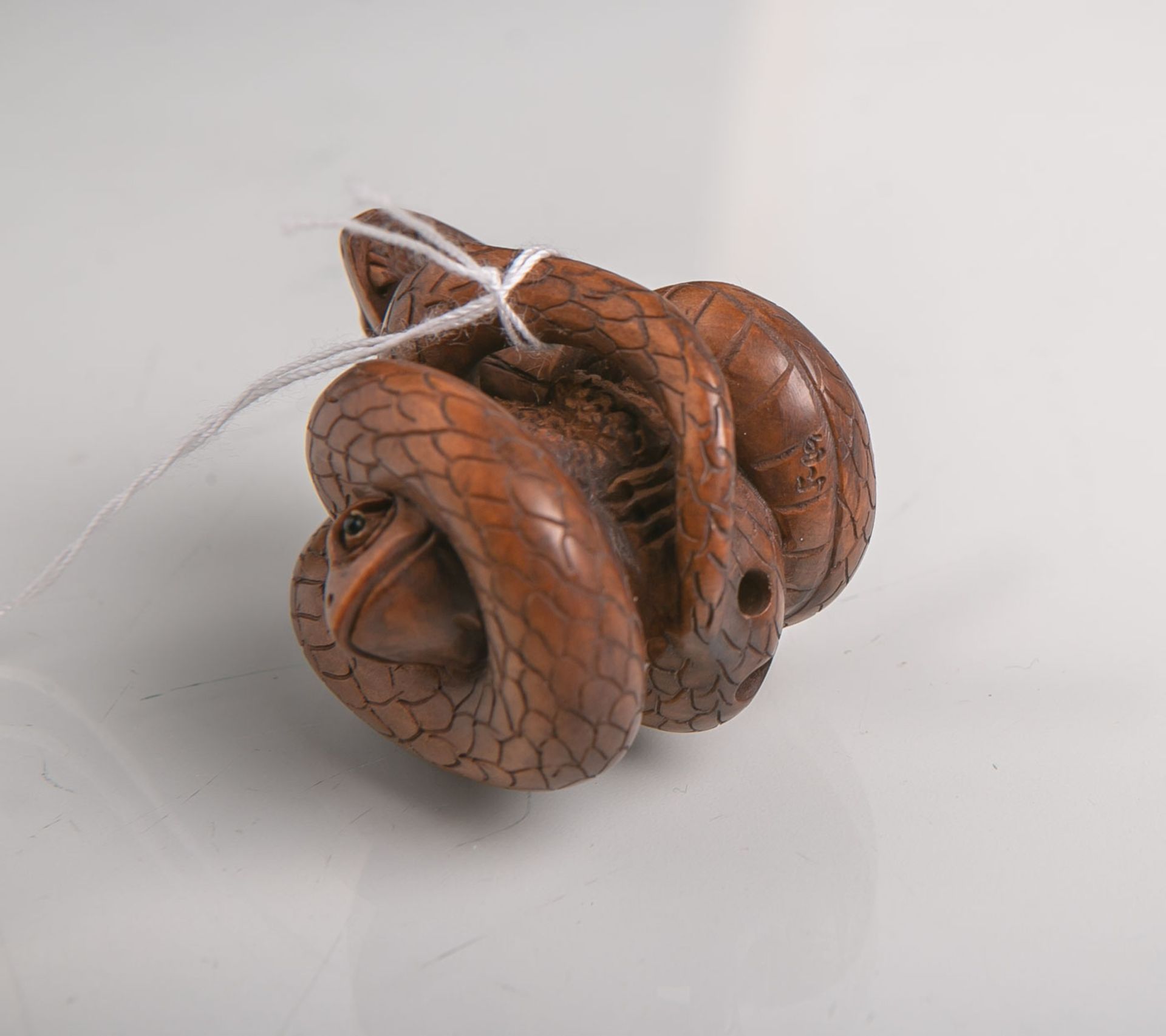 Tropenholz-Netsuke (Provenienz Japan, Alter unbekannt), Darstellung einer Schlange, dieeine Kröte - Bild 2 aus 2