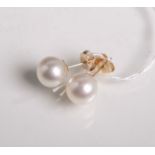 Paar Ohrstecker aus 585 WG, jeweils mit einer Perle (Dm. ca. 10,5 mm), L. (insgesamt) jeca. 2,2