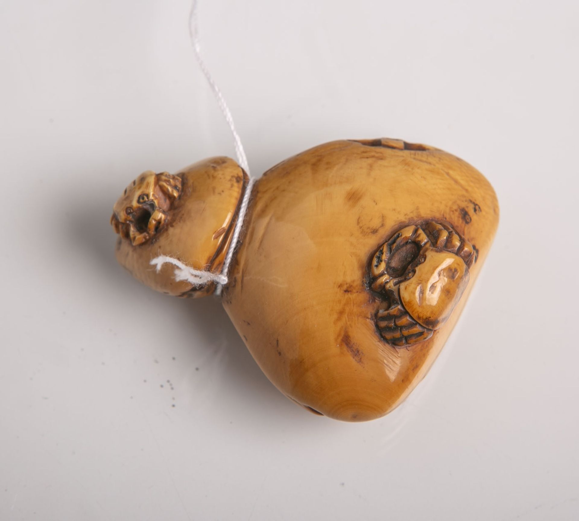 Elfenbein-Netsuke (Provenienz wohl Japan, Alter unbekannt), auf Muscheln sitzende Krabben,