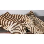 Zebrafell, Böhm-Zebra / Equus quagga boehmi (1950/60er Jahre, Namibia), IUCN-Bewertung: