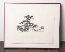 Sprotte, Siegward (1913 - 2004), "Brookwood Park", Lithografie, Künstlerexemplar, li. u.