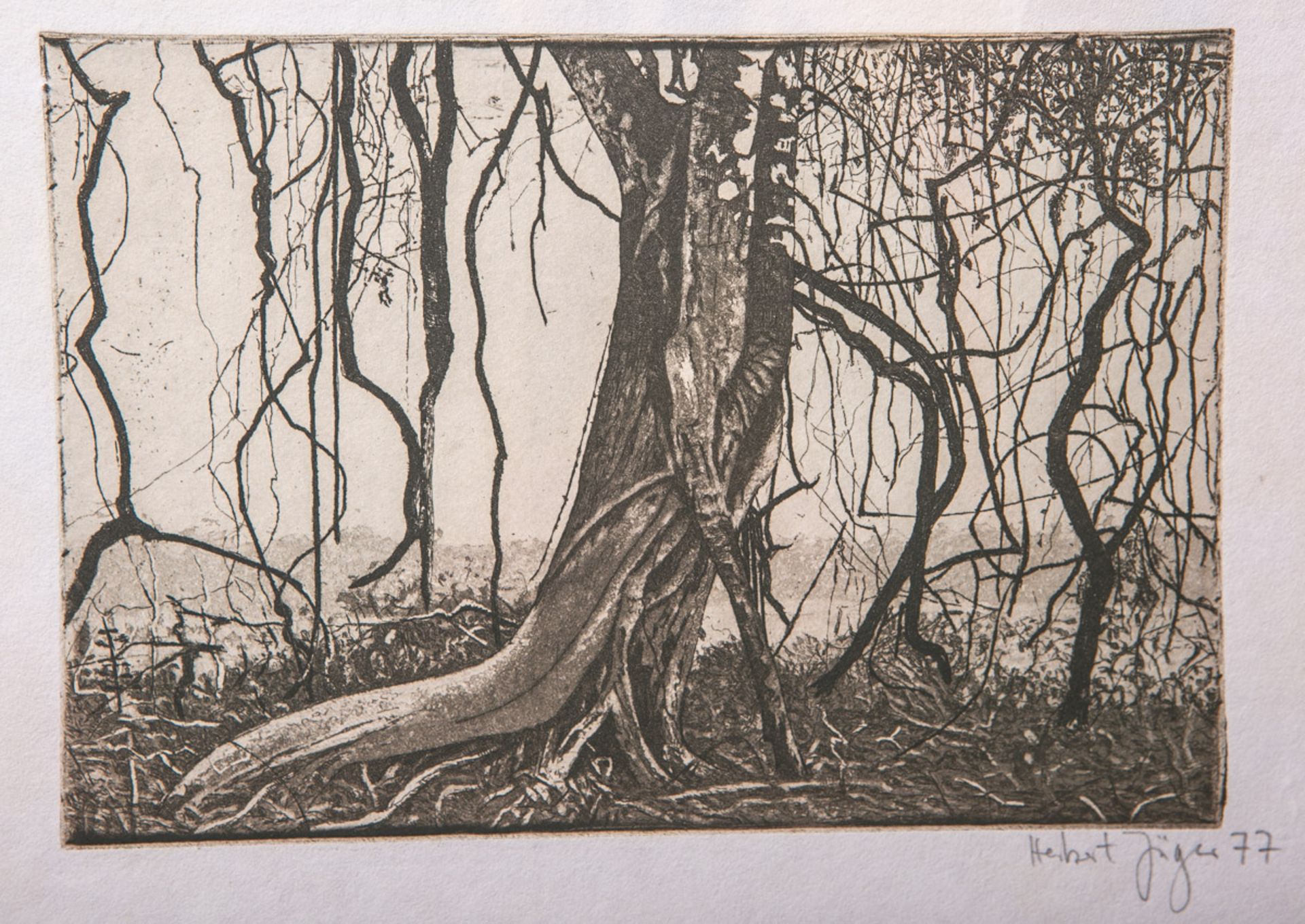 Jäger, Herbert (geb. 1949), "Der Baum", Radierung, re. u. handsign. u. dat. (19)77,
