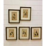 Five framed hand painted botanical illustrations