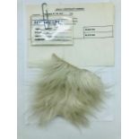 Crew ID and some Wampa fur from Star Wars Revenge of the Jedi from the private collection of