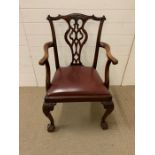 A Single Mahogany Carver Chair of Claw and Ball feet.