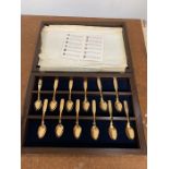 A Boxed set of Northern Lights Commemorative Spoons from Canada