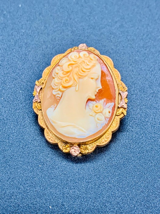 A Classic Cameo brooch on a 10 k gold setting.