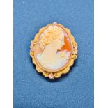 A Classic Cameo brooch on a 10 k gold setting.