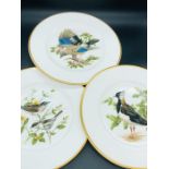 Seven Dinner Plates, Coalport British Birds Limited Edition set.