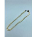 Pearl necklace with 9ct gold clasp