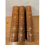 Three books of The Arabian Nights volumes 1-3