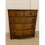 A bow front two over three mahogany chest of drawers (H114cm W102cm D50cm)