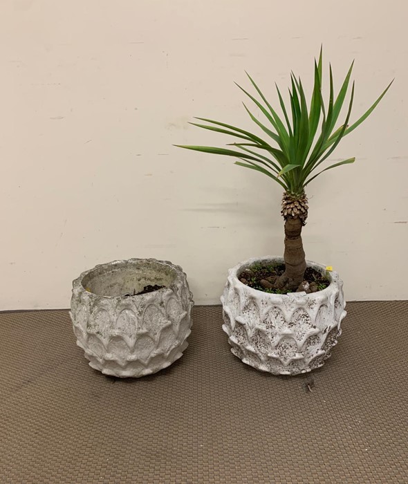 A pair of painted concrete pineapple planters