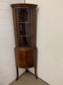 Edwardian corner display unit (H170cm D40cm)