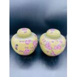A Pair of Chinese Contemporary Cloisonne Ginger Jars, cream grounds (15 cm H)