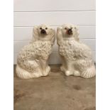 A Pair of Staffordshire Dogs