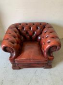 Chesterfield ox blood leather club chair (H69cm W103cm D85cm)