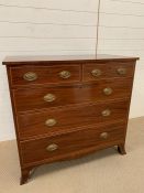 Mahogany chest of drawers. Two short over three long on bracket feet and string inlaid.