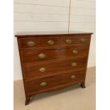 Mahogany chest of drawers. Two short over three long on bracket feet and string inlaid.