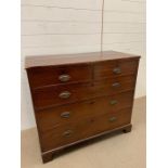 Mahogany chest of drawers, two short over three long. AF. L102cm W51m H90cm