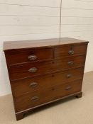 Mahogany chest of drawers, two short over three long. AF. L102cm W51m H90cm