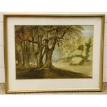 20th century English school, "Windsor Forest", unsigned and titled lower left, watercolour, framed