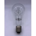 A single large light bulb (24cm x 11cm)