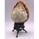 A Victorian carved cameo lady conch shell on brass stand