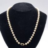 A Uniform row of sixty-one 6.5-7 mm cultured Akoya pearls strung knotted to a 9 carat yellow gold